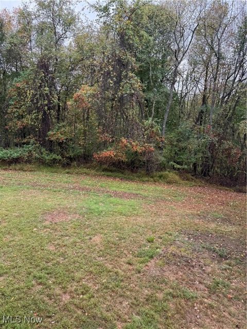 Vacant Land For Sale - 204 Reichart Avenue #3<br/> Jefferson County, Wintersville, OH 43953