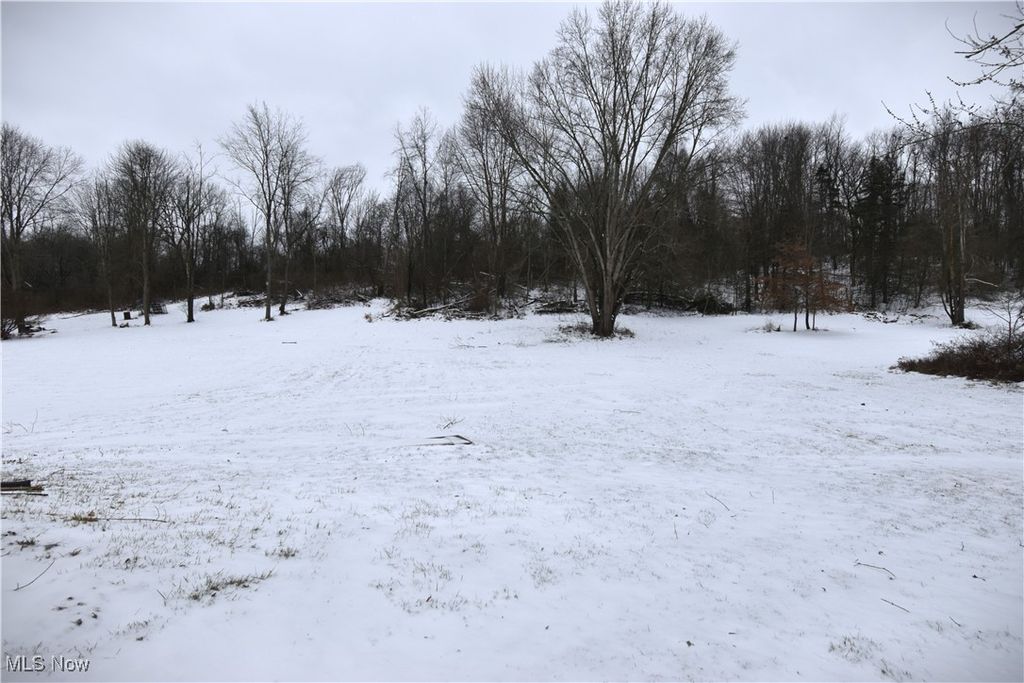Photo of 1075 Bacon Avenue, East Palestine, OH 44413 (MLS # 5182957)
