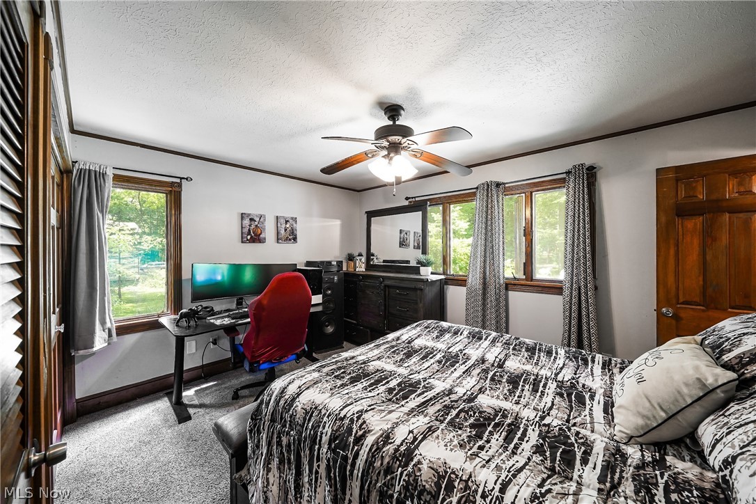 Bainbridge Heights - Residential