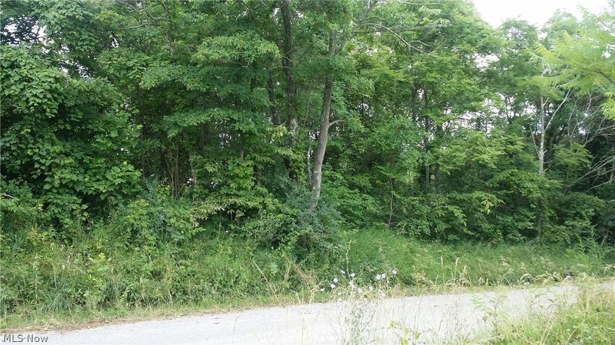 Beautiful country setting for home site or recreational use.