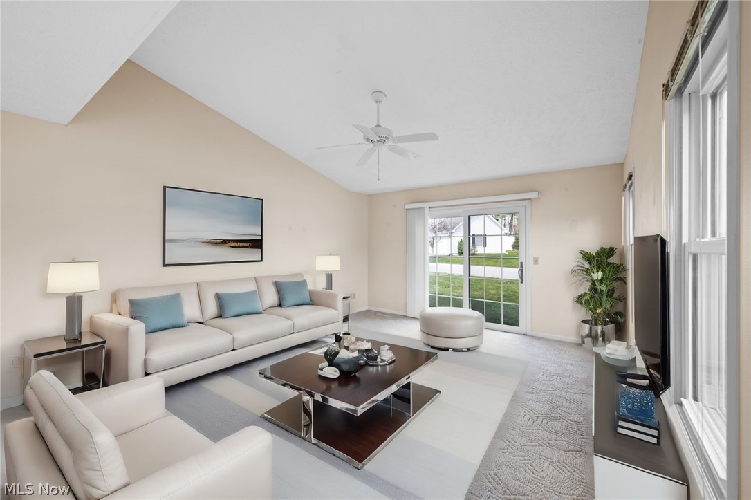 Swan Lake - Residential