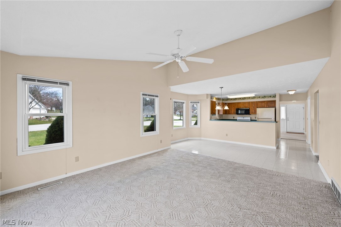 Swan Lake - Residential