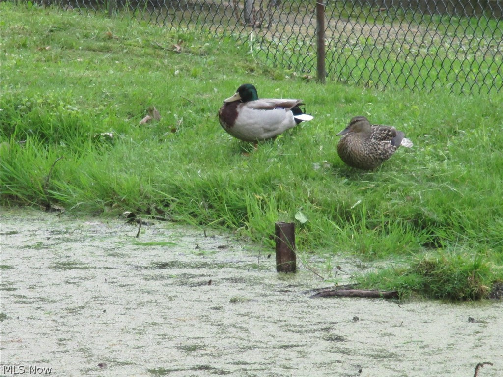 City Farms - Residential