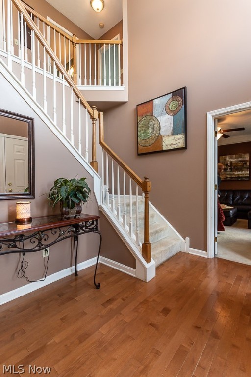 West Chase Landings - Residential