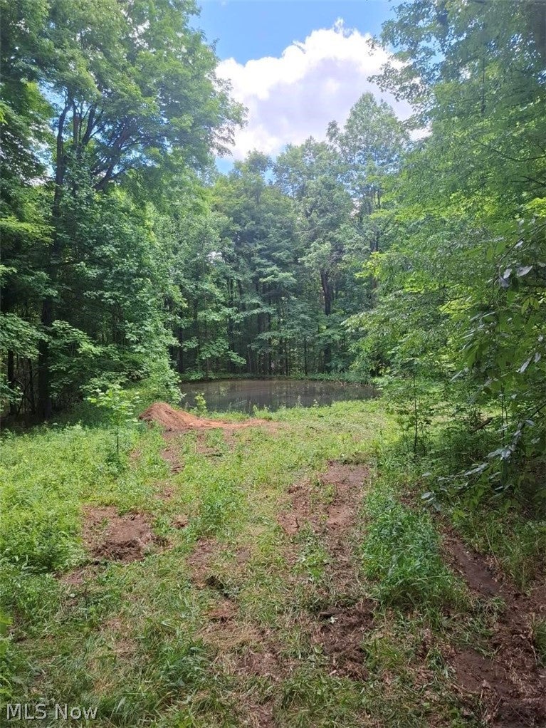 10381 Mulberry Road