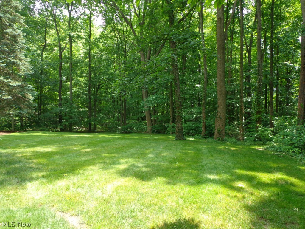 Briar Hill Suburban Colony - Residential