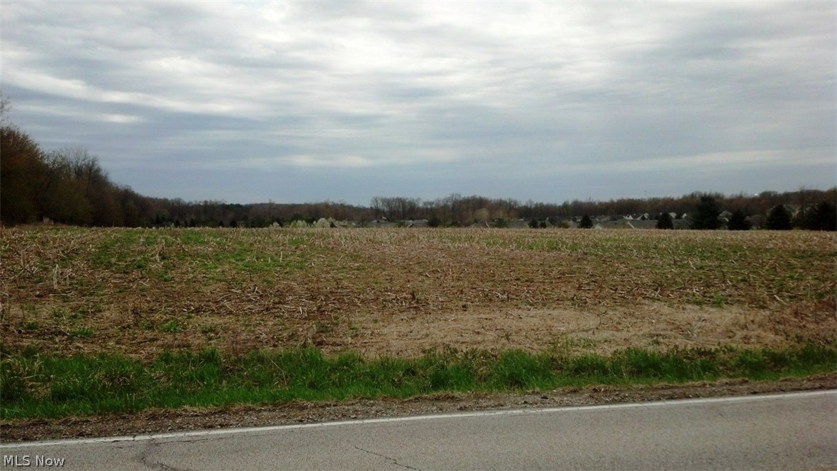 Reimer Road, Wadsworth, Ohio image 1