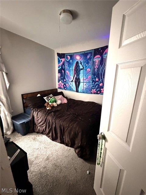 Tiny photo for 9914 Adams Avenue, Cleveland, OH 44108 (MLS # 5255531)