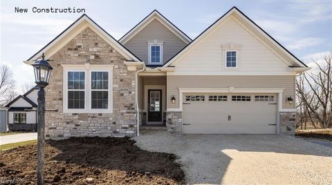 6124 Grey Heron Drive Medina OH 44256