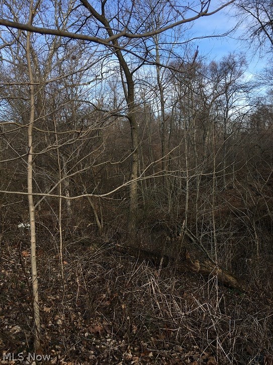 US Military Lands - Land