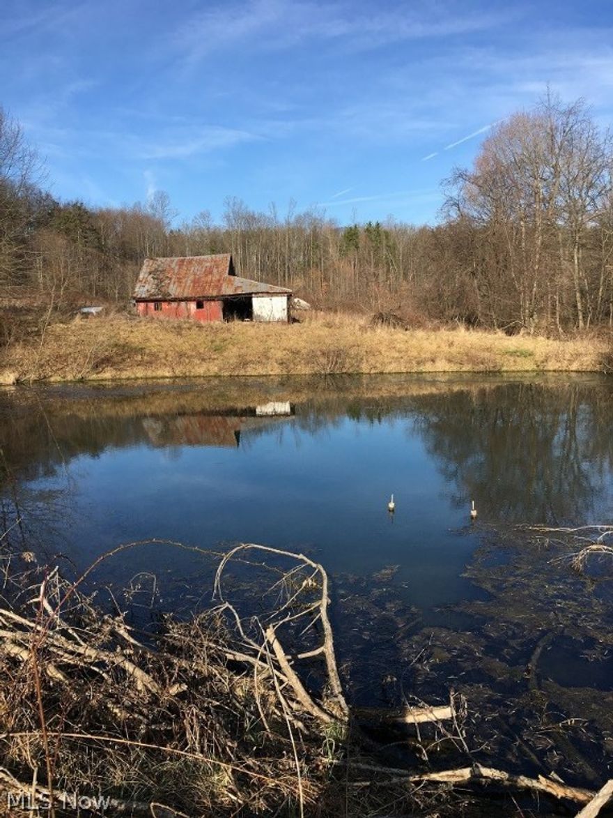 Property sells "as is" owner will not do any clean up. Two houses on the property are uninhabitable. Other structures include, barn, chicken coop and smaller barn. Water supply is a spring behind the main house that feeds the pond. Value was based on acreage.