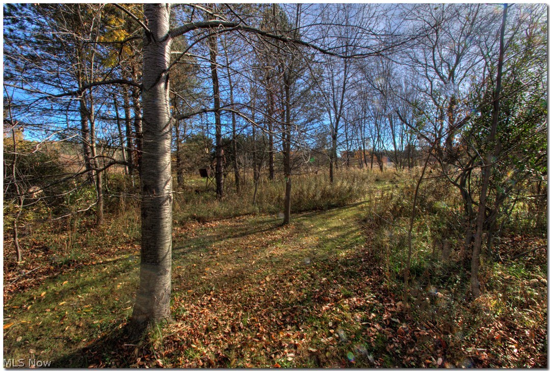 Remsen Chase - Residential