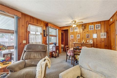 Tiny photo for 601 W North Avenue, East Palestine, OH 44413 (MLS # 5158721)
