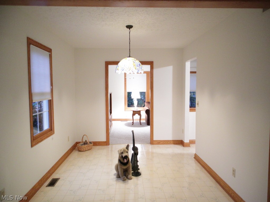 Villas At Macintosh Farms - Residential