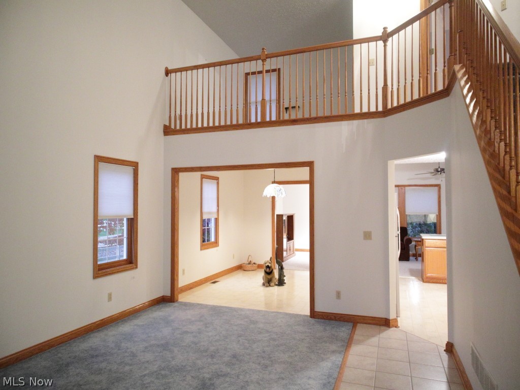 Villas At Macintosh Farms - Residential