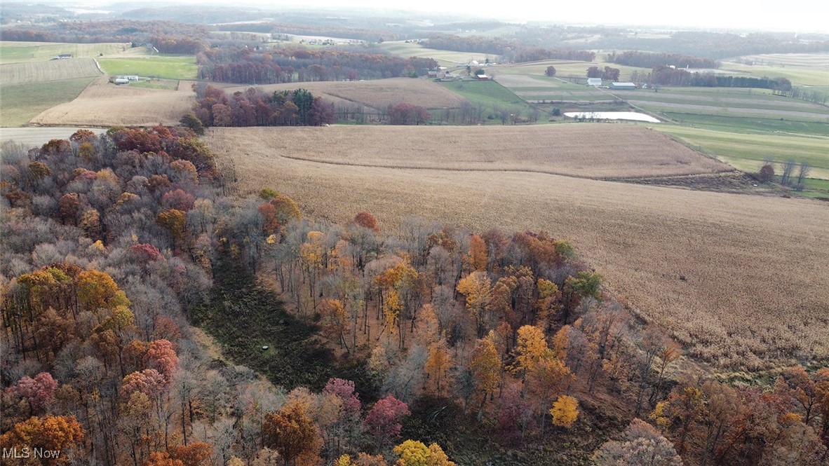 Nature Road, Kensington, Ohio image 3