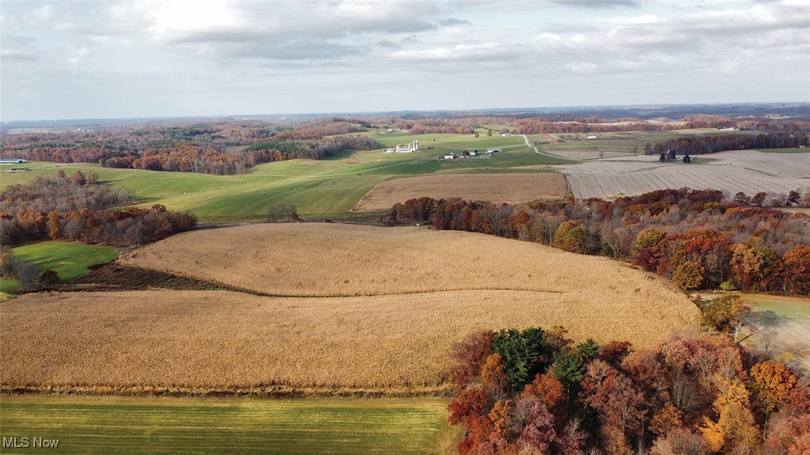 Nature Road, Kensington, Ohio image 4