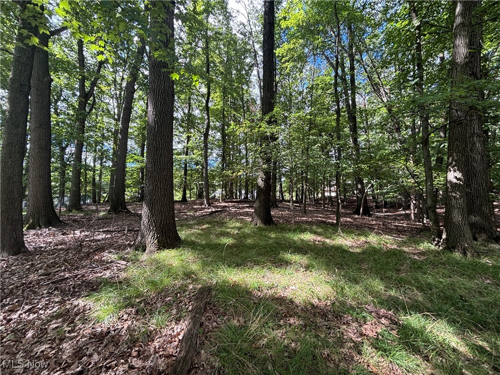 Independence 03 - Residential