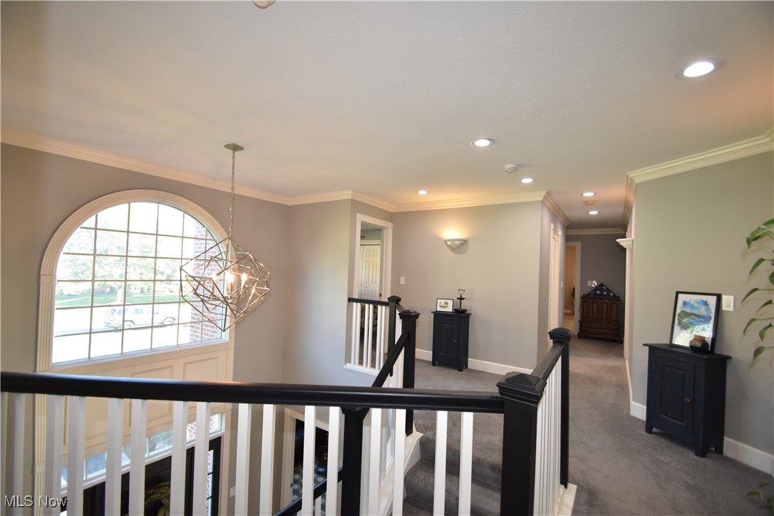 Canterbury Creek - Residential