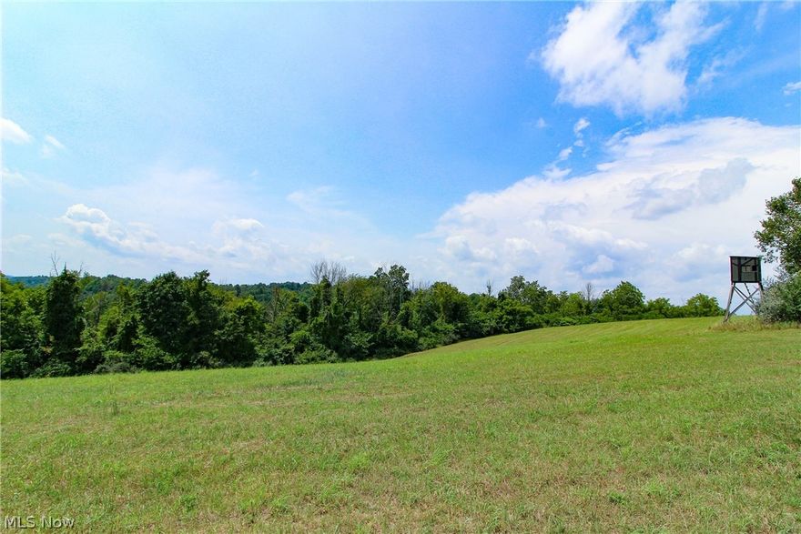 102.66 total acres. Trophy whitetail bucks!! Mostly wooded acreage. Several areas cleared that could be used for food plots. 6+/- acre hay filed. Thick cover. Maintained trail system throughout property. Rolling to steeper topography. 3 box elevated blinds in place. Any mineral rights owned by seller to transfer. Less than 5 miles from I-77. Annual taxes approximately $1768.80.