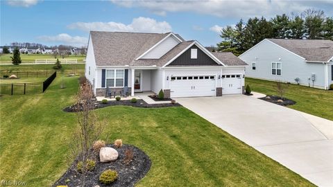 3169 Sharon Court Medina OH 44256
