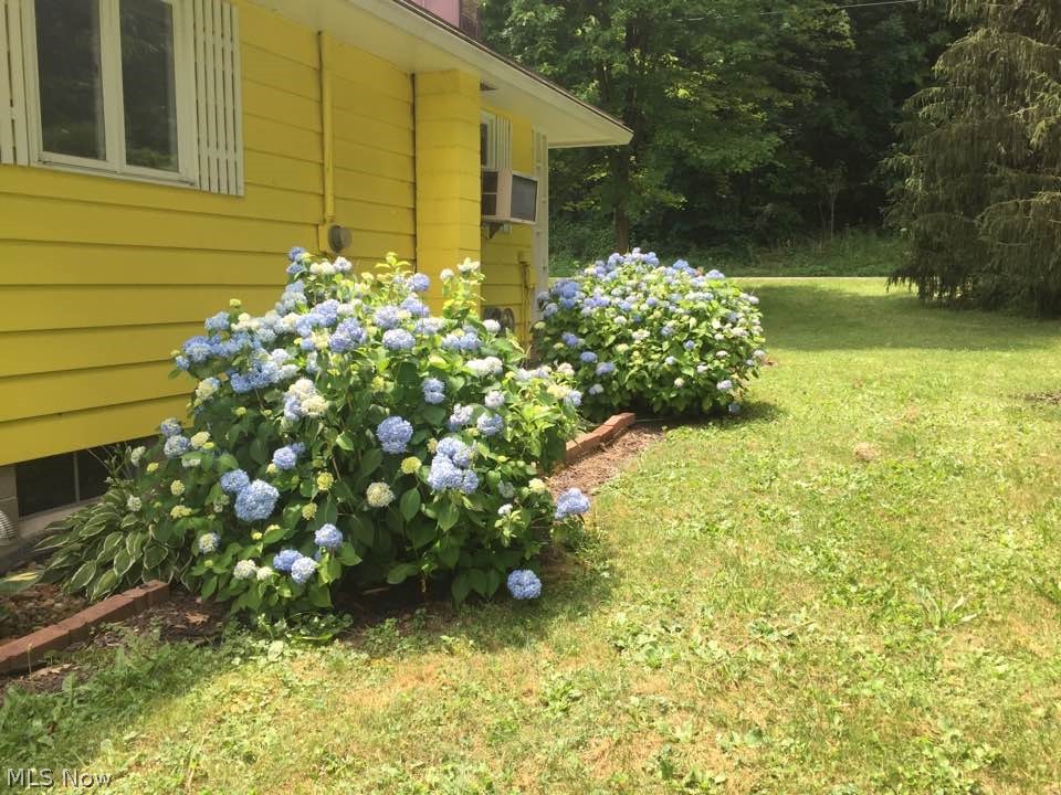 Chester - Residential