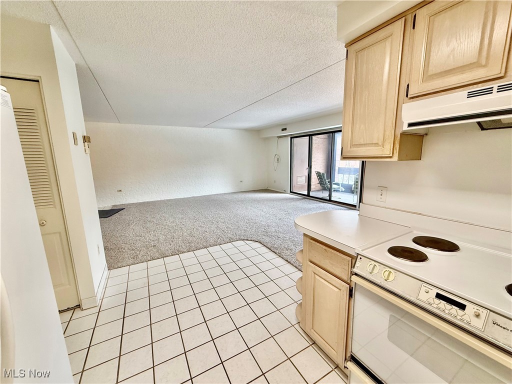 Greenwood Village Condo - Residential