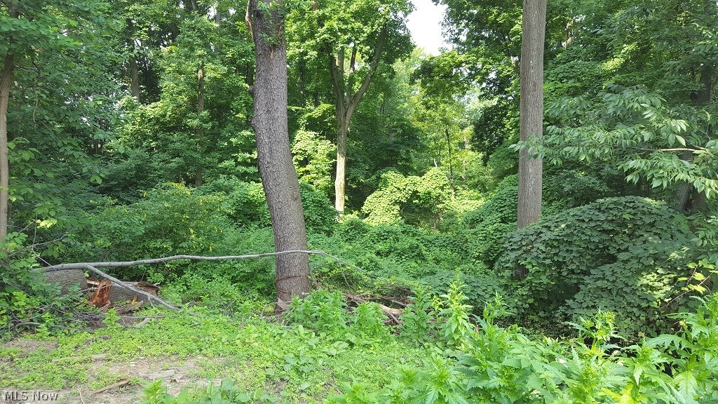 Northfield Heights - Residential