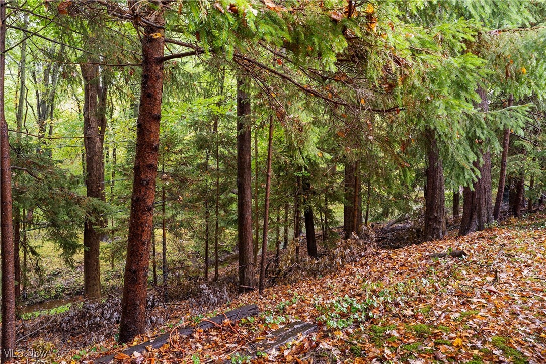 Newport West - Residential