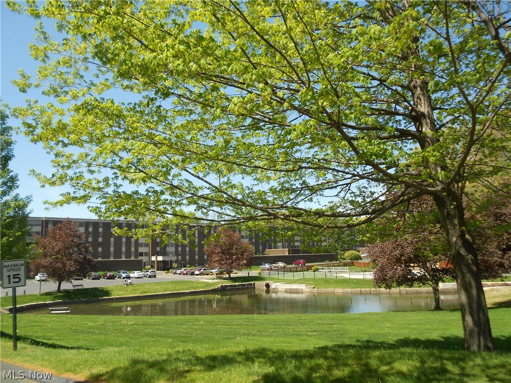 Silver Lake Towers Condo - Residential