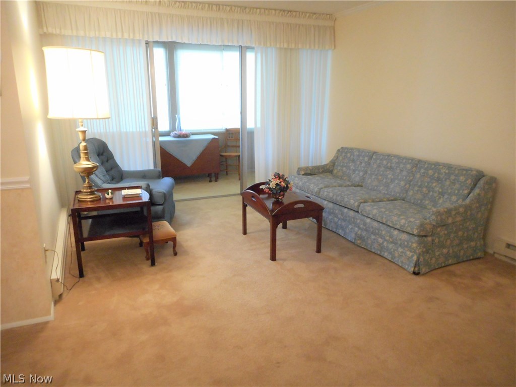 Silver Lake Towers Condo - Residential