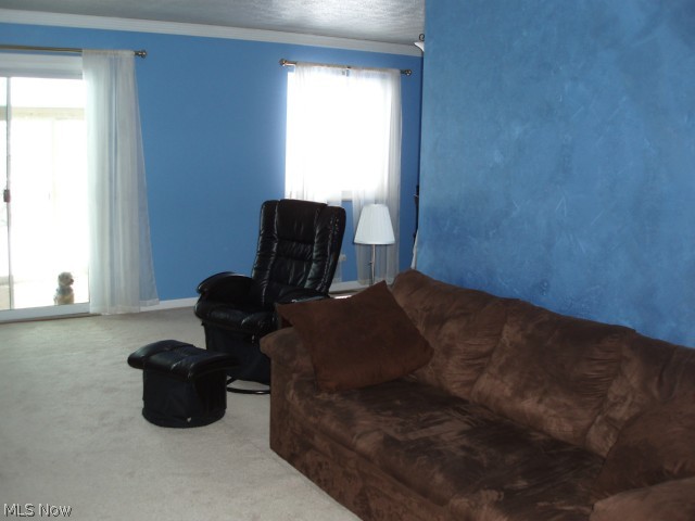 Silver Meadows - Residential