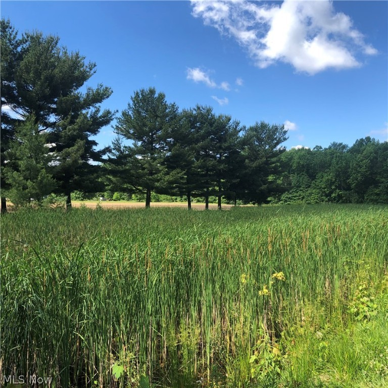 Brownhelm - Residential