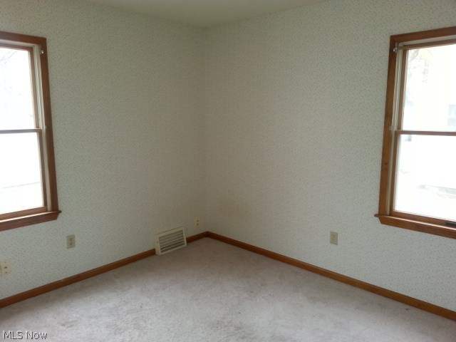 Painesville Overlook - Residential