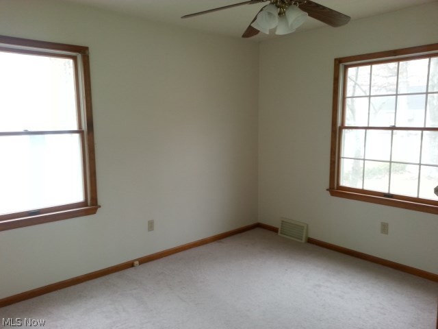 Painesville Overlook - Residential