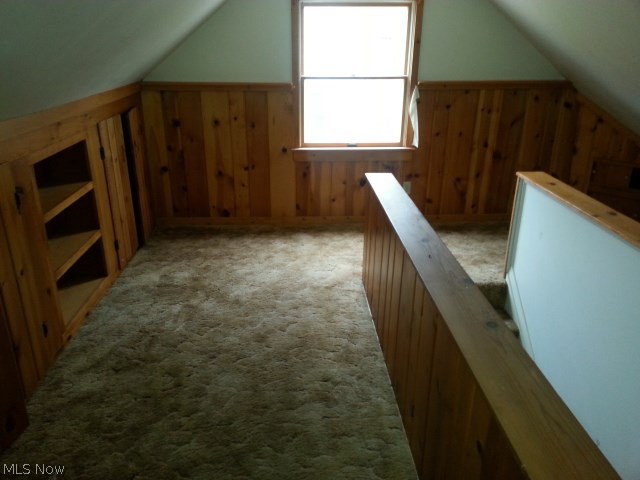 Painesville Overlook - Residential