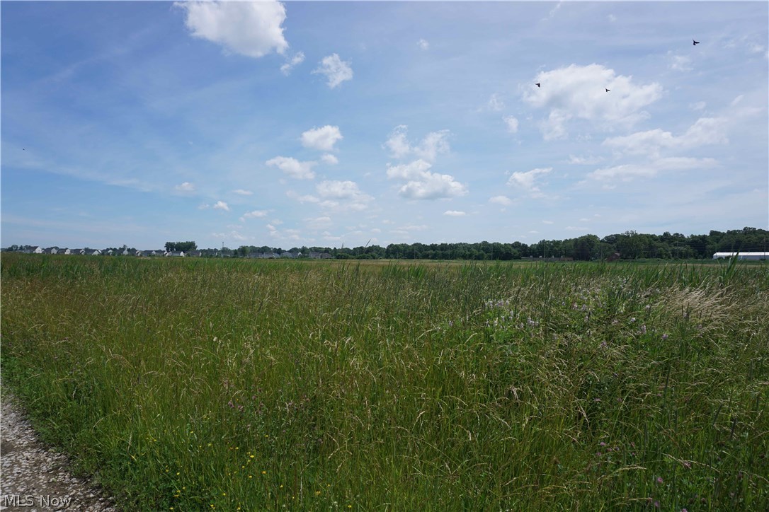 Original Mentor Township 06 & 10 - Land