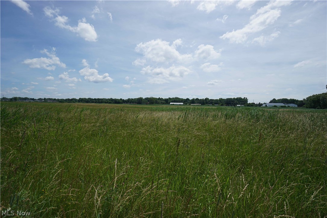 Original Mentor Township 06 & 10 - Land