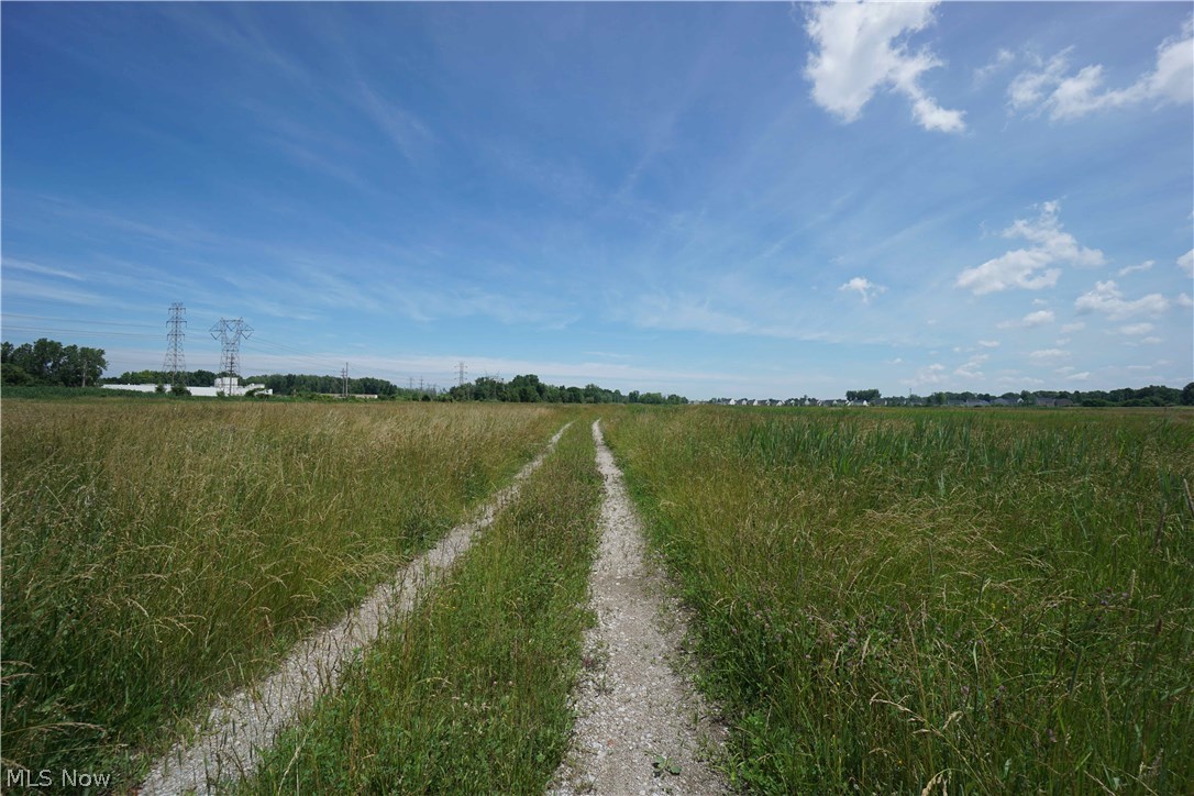 Original Mentor Township 06 & 10 - Land