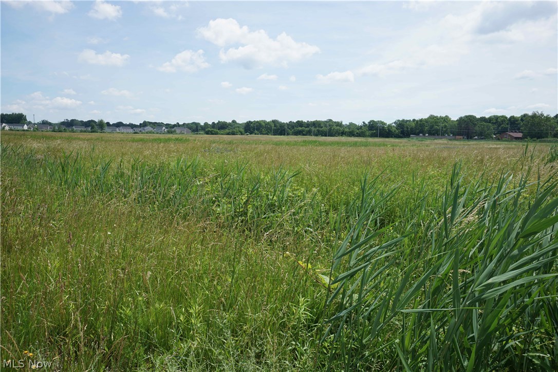 Original Mentor Township 06 & 10 - Land