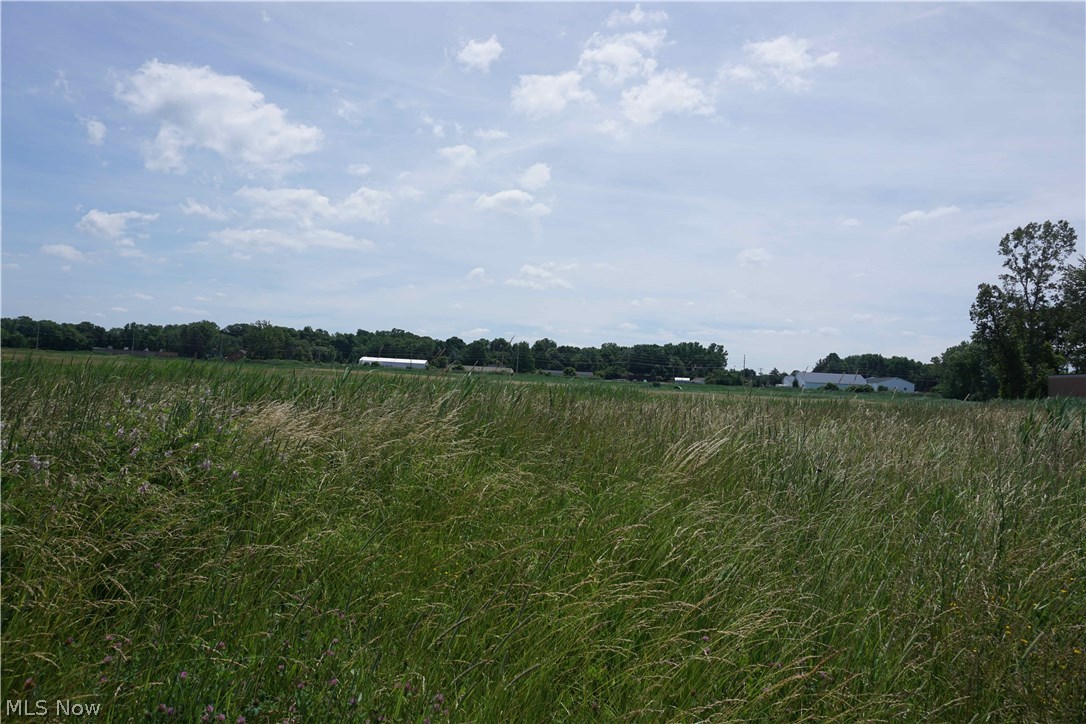 Original Mentor Township 06 & 10 - Land