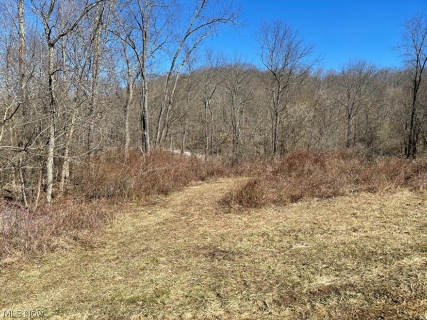 30.8 Acres with about 85% wooded. There is a gas well on the property. NO MINERALS. Kept by previous owners.
