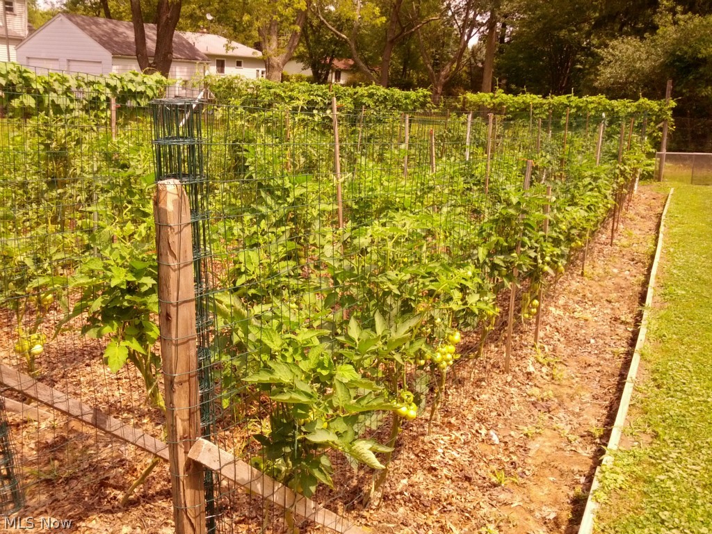 Belmont Park - Residential