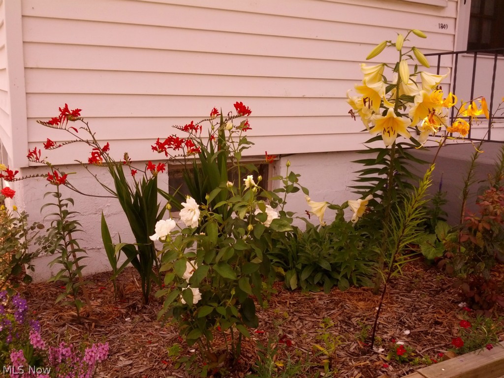 Belmont Park - Residential