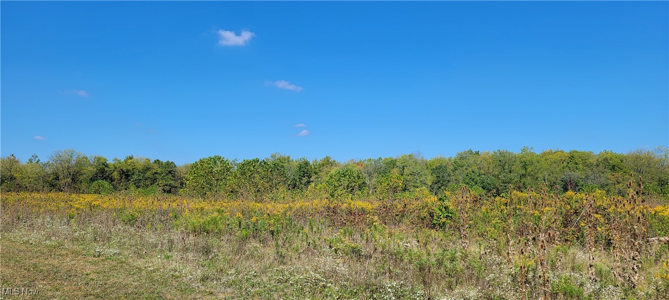 VL5 Of 19610 Ridge Road, North Royalton, Ohio image 1