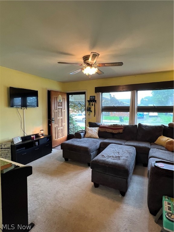 Martindale Acres - Residential