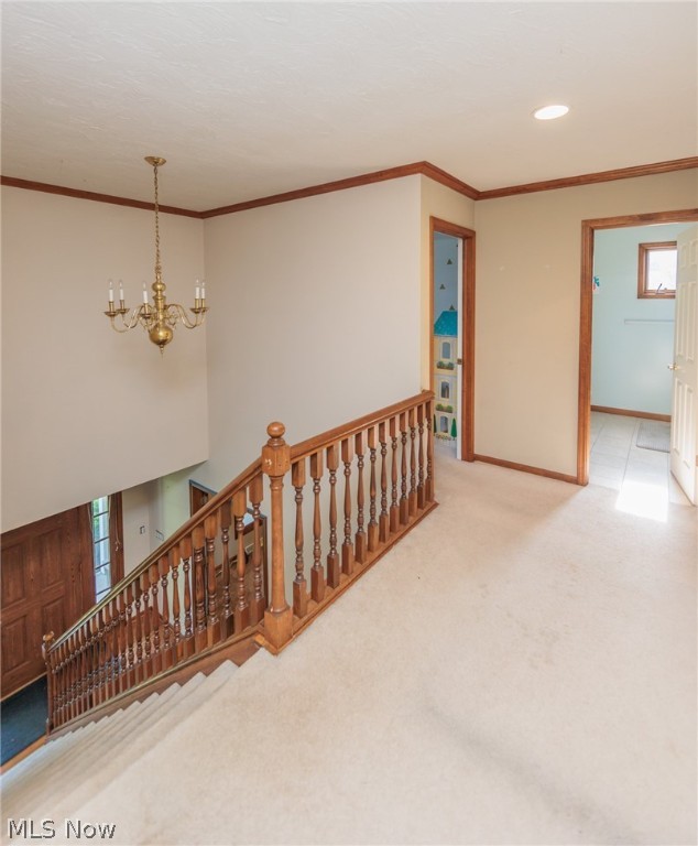 Rockport Dev Corp - Residential