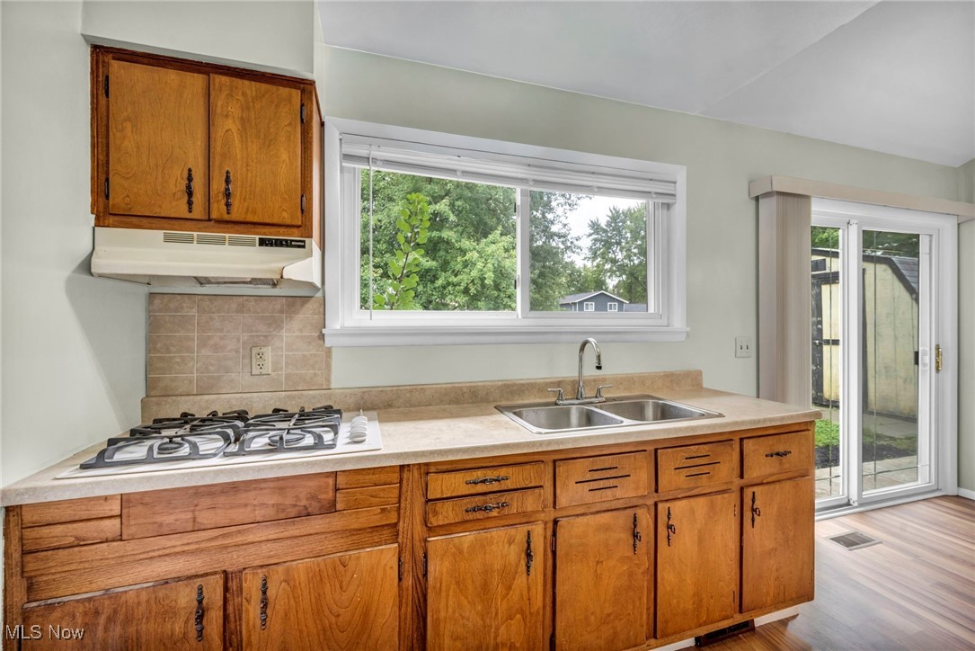 Mentor Estates Sub - Residential