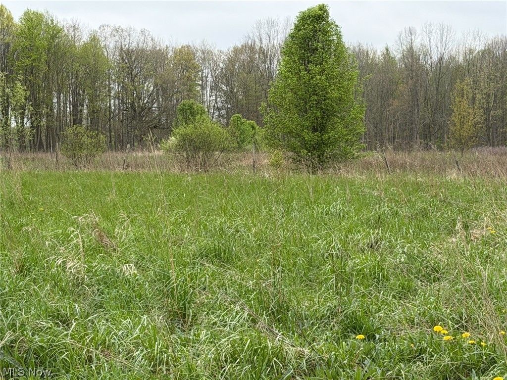 Photo of 4680 Waterloo Road, Atwater, OH 44201 (MLS # 5208091)