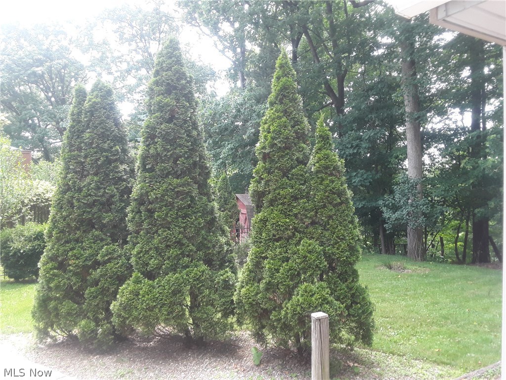 Wilburn Gorge - Residential Lease